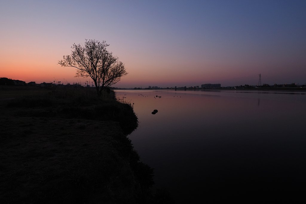 春霞の夜明け