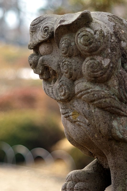 SMC-Takumar105/2.8開放　狛犬