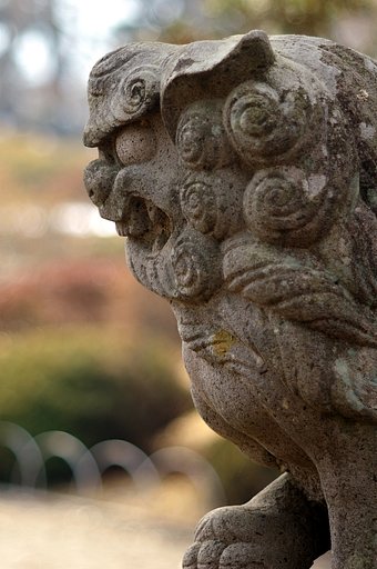 SMC-Takumar105/2.8開放　狛犬