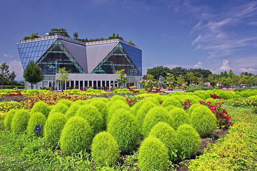 【エ♥ロ】コキアのある風景・夏