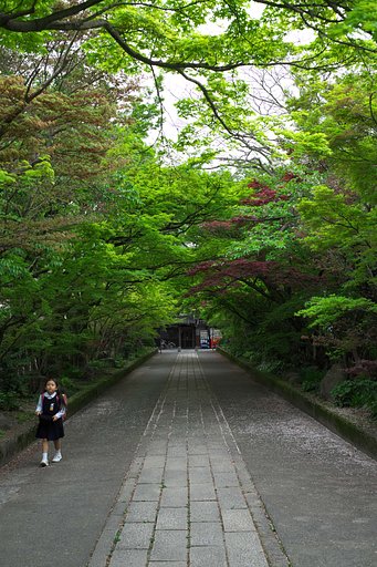 龍福寺2