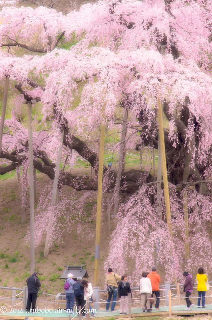 【心】億千万の祈りを込めて