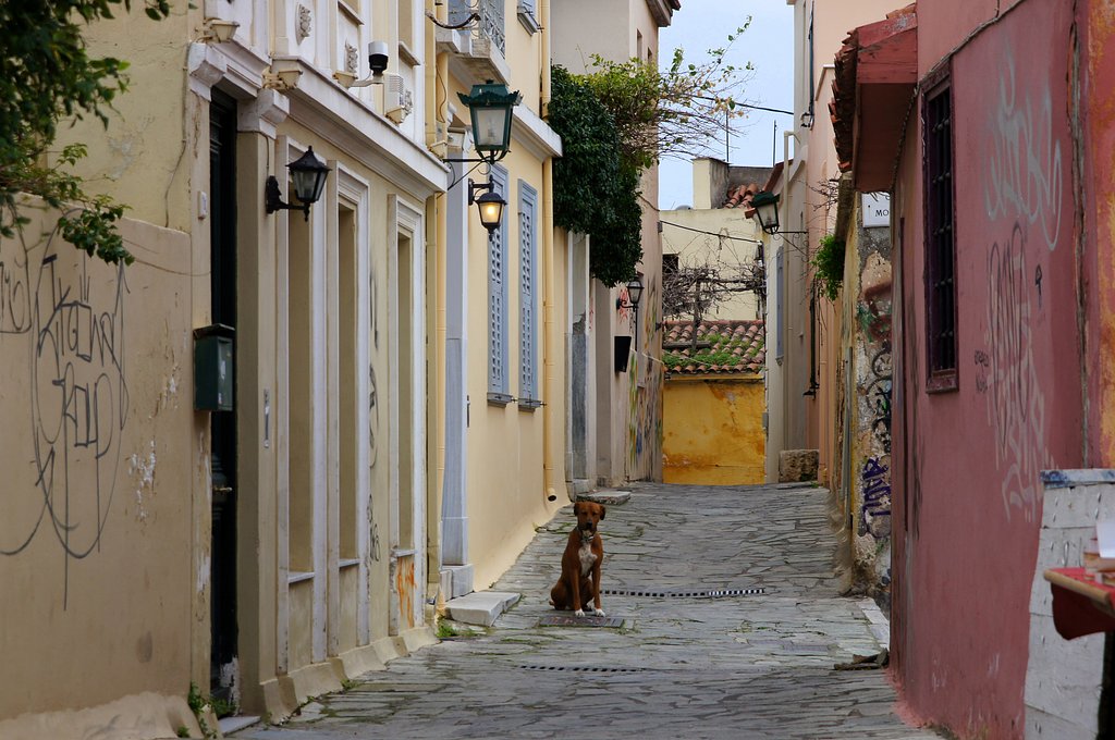 路地