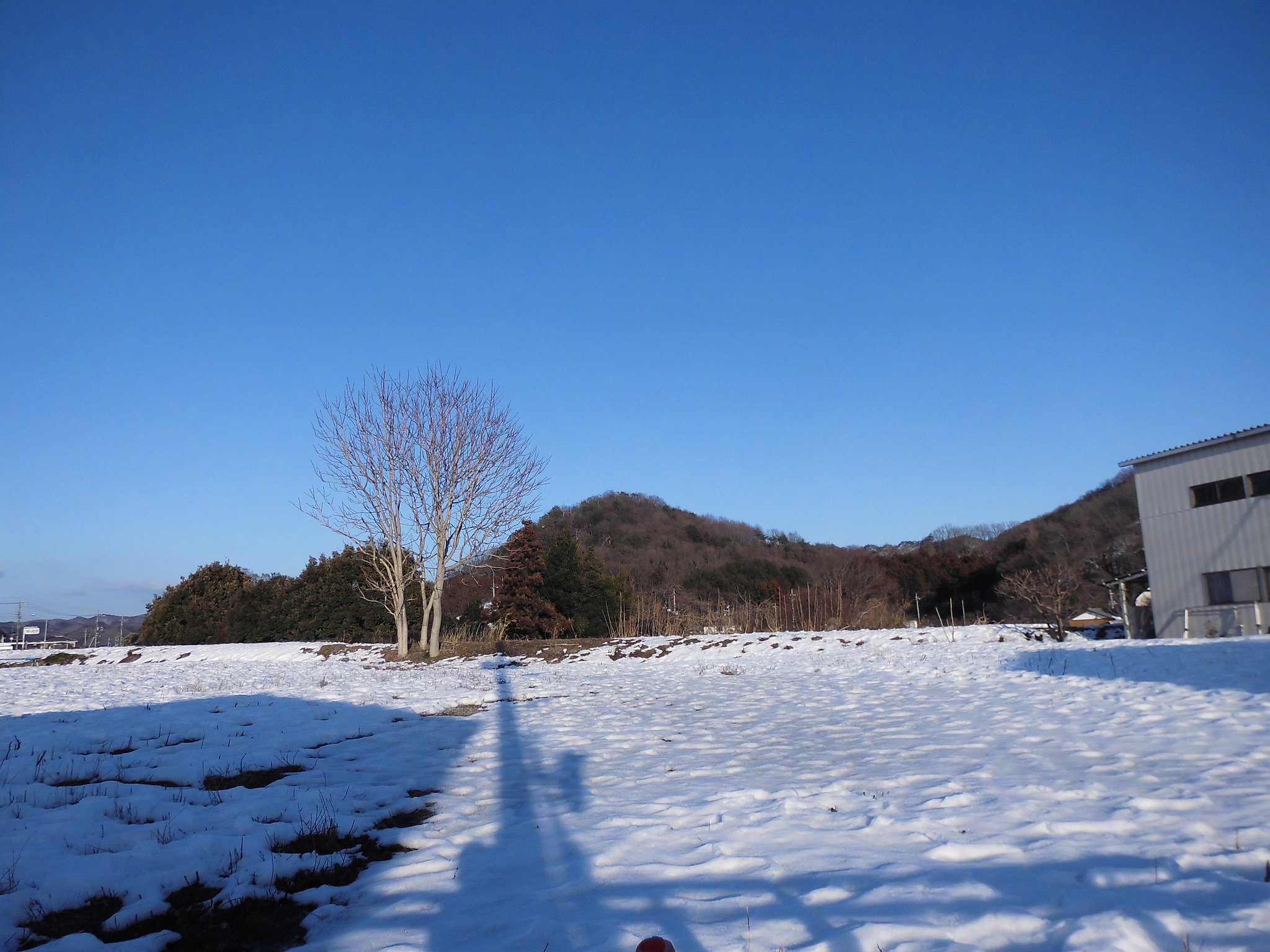 雪