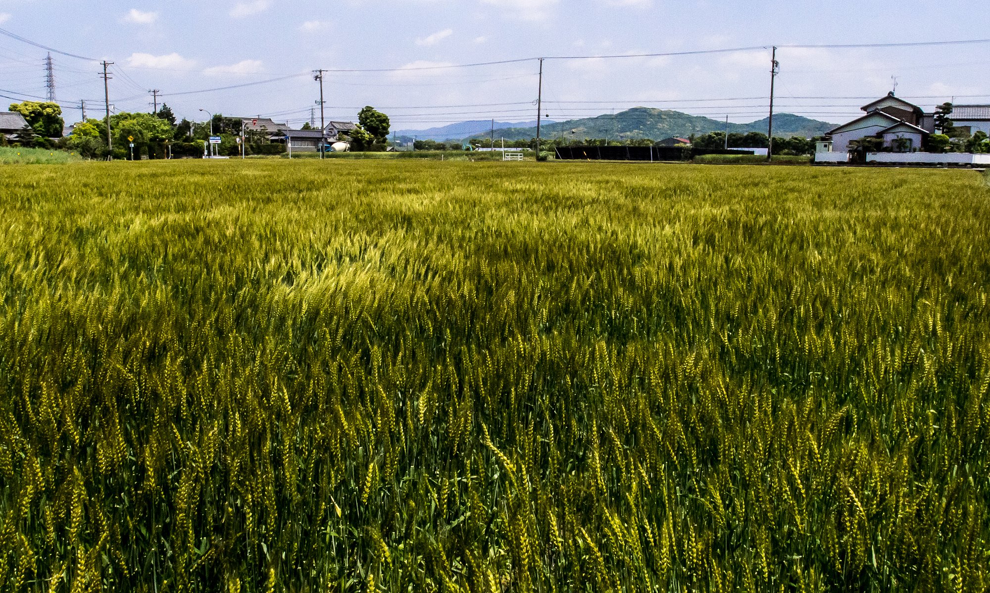 風を撮るⅡ