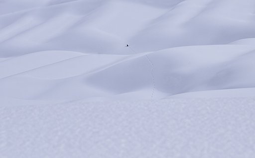 雪原