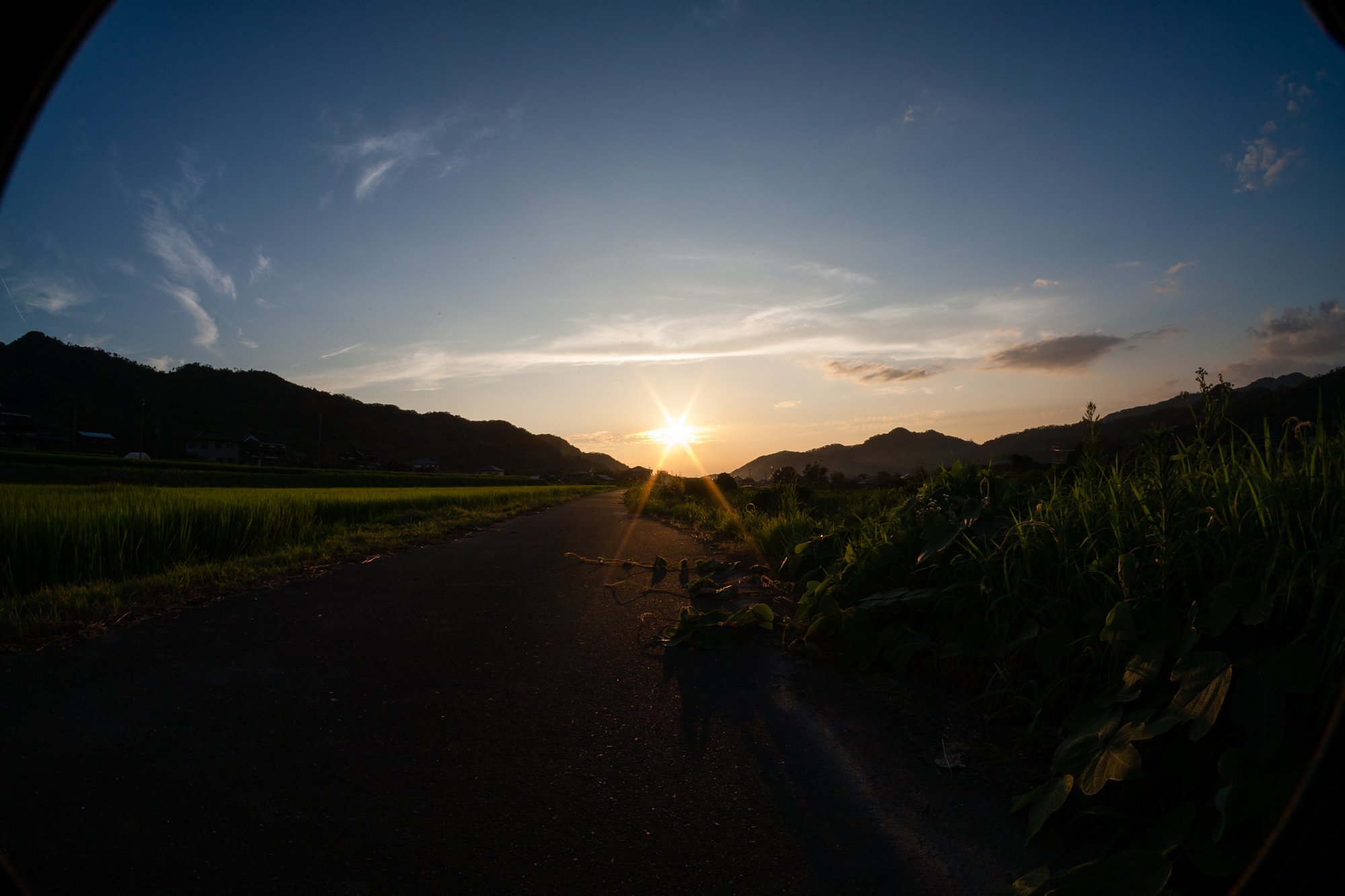 夕焼けに・・。