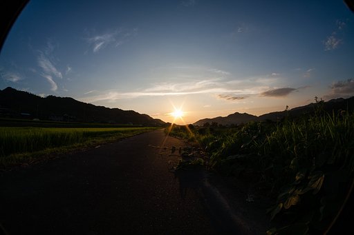 夕焼けに・・。