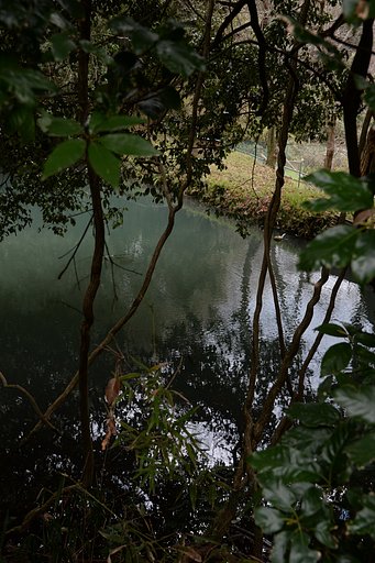 溜め池の色合い