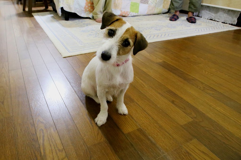 それ何？？