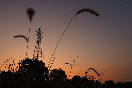 夜明けの鉄塔