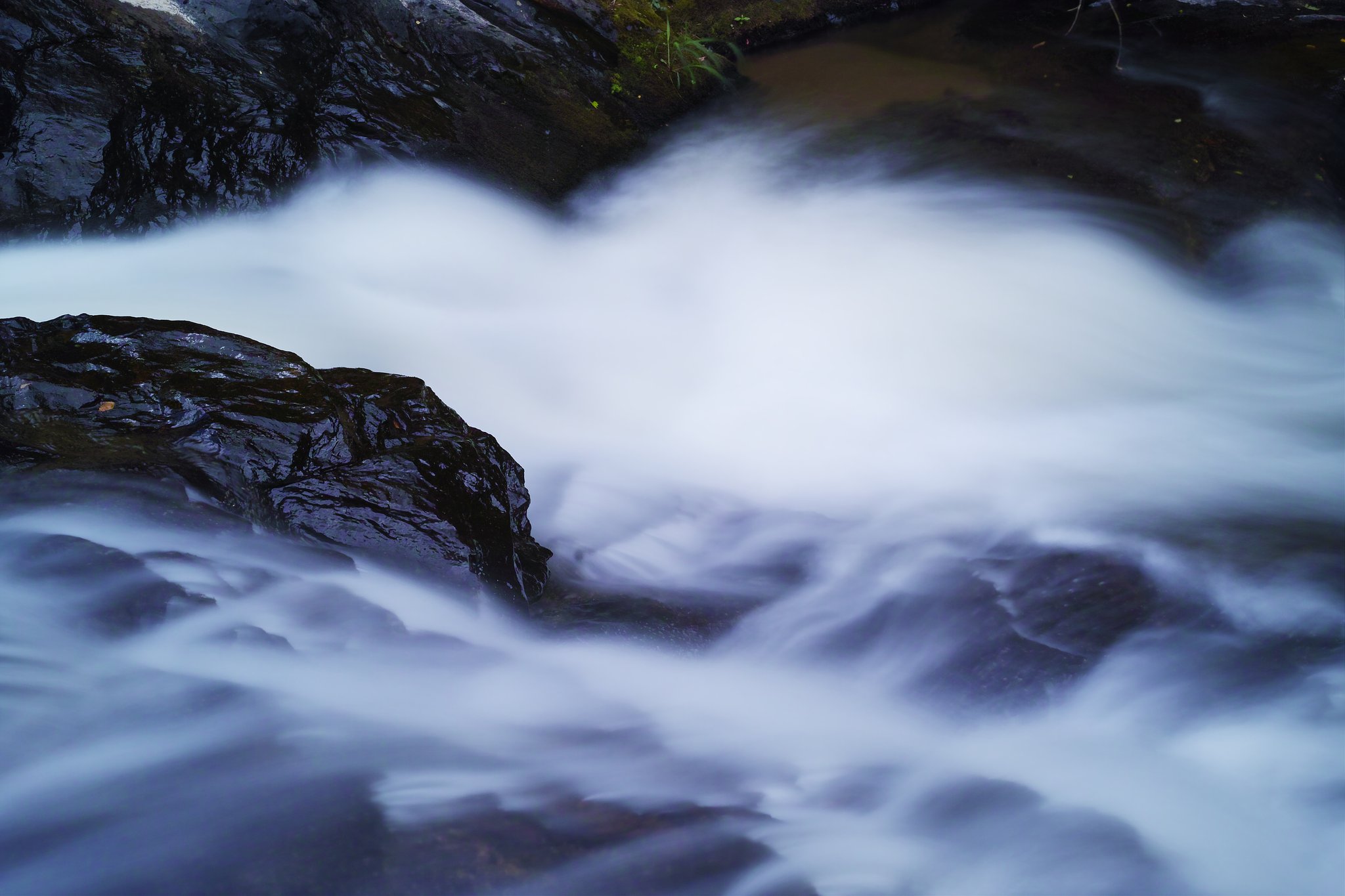 涼