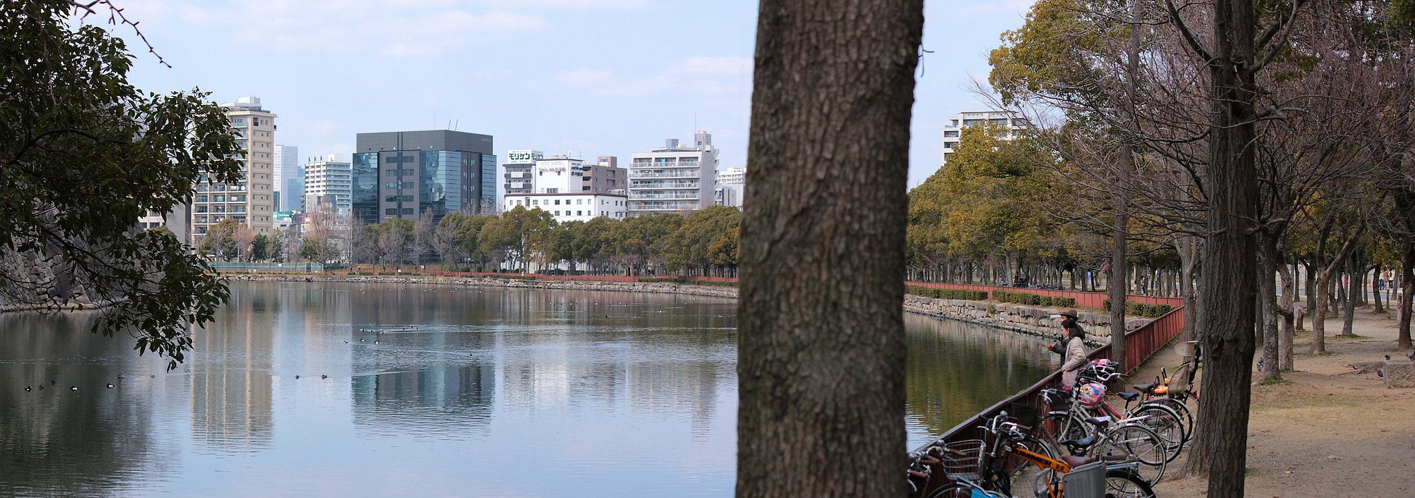 大阪城お堀水景