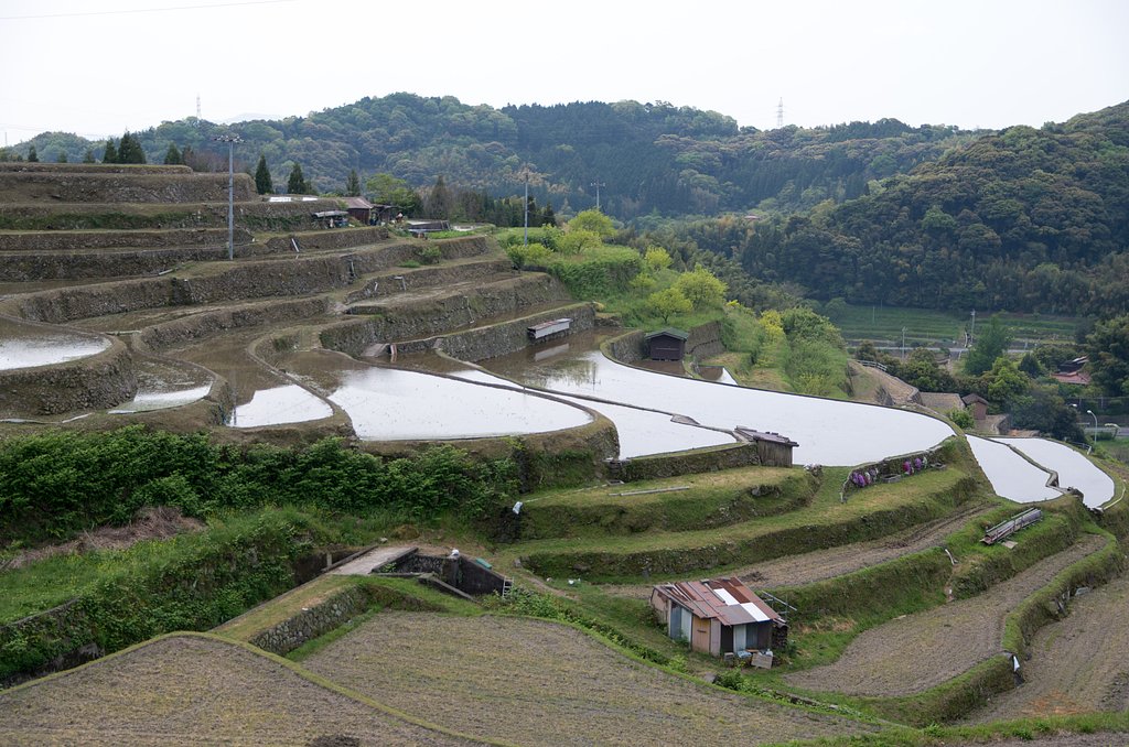 棚田