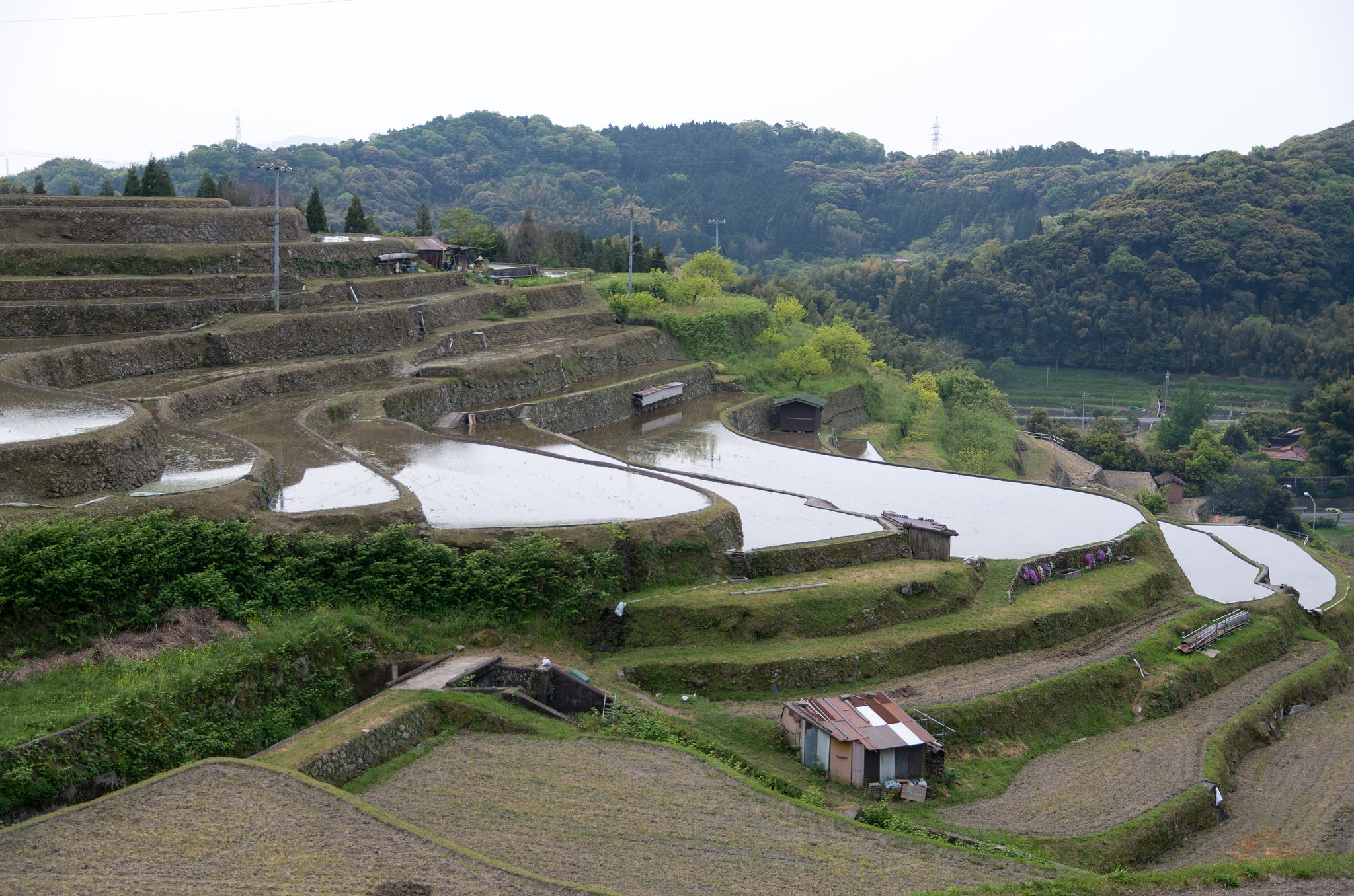 棚田