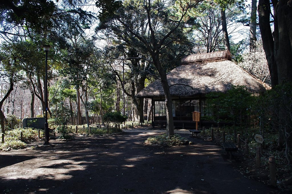 蘆花恒春園、春遠し・・・