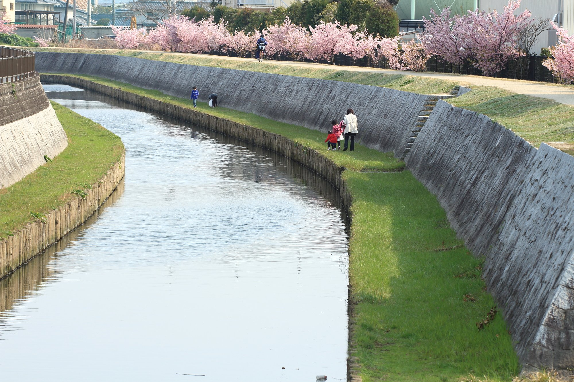 春の小川