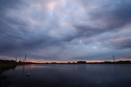 雲淡く色付く