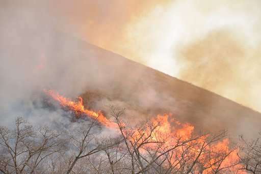 山焼き