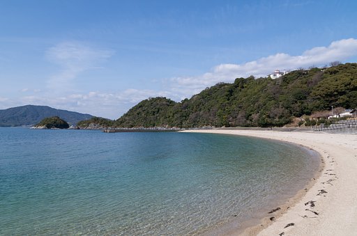 砂浜