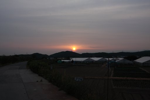 2014/05/20薄曇