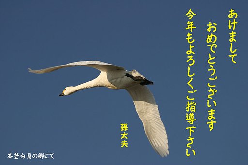 あけましておめでとうございます