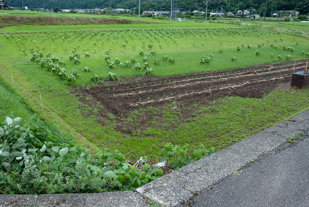 台風のさなか・・。