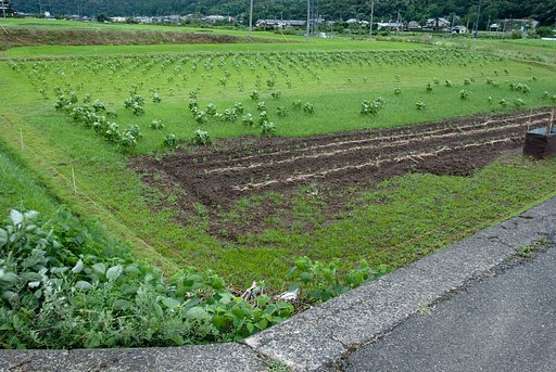 台風のさなか・・。