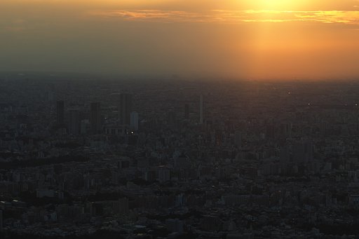 夕陽が静かに降りてゆく