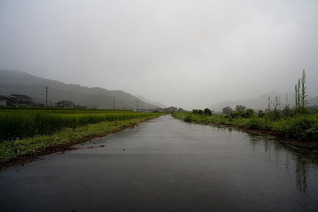 台風の真っ只中。
