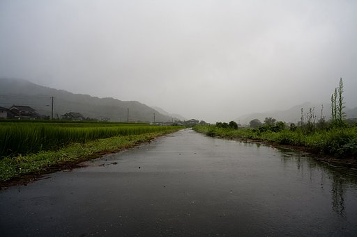 台風の真っ只中。
