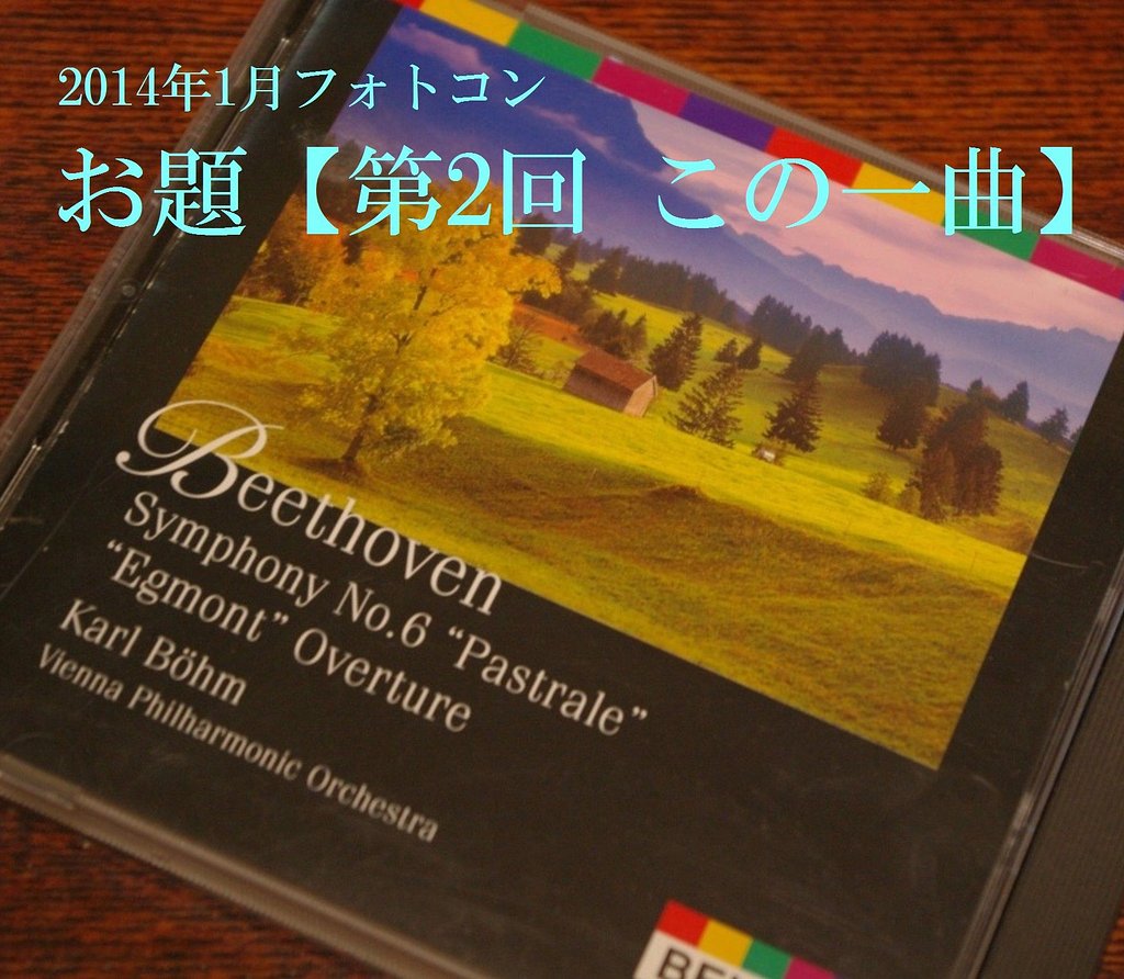 1月フォトコンへのお誘い
