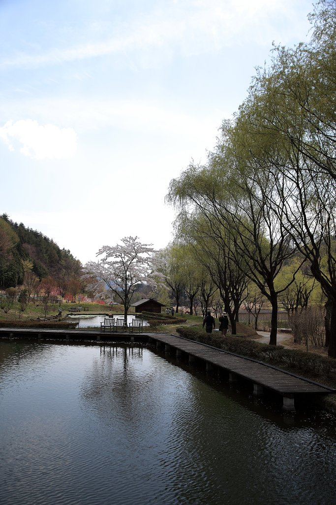 道の駅『南清里』の風景