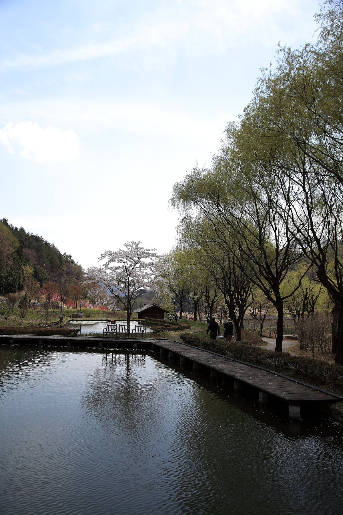 道の駅『南清里』の風景
