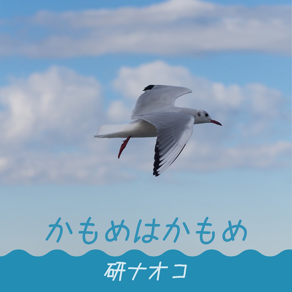 【第2回　この一曲】かもめはかもめ