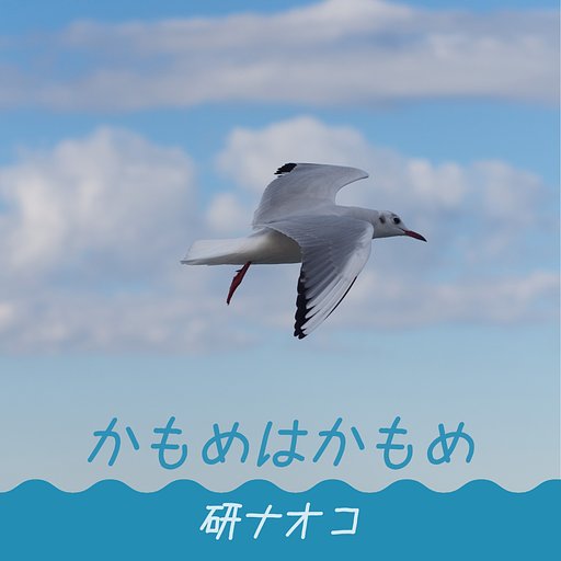 【第2回　この一曲】かもめはかもめ