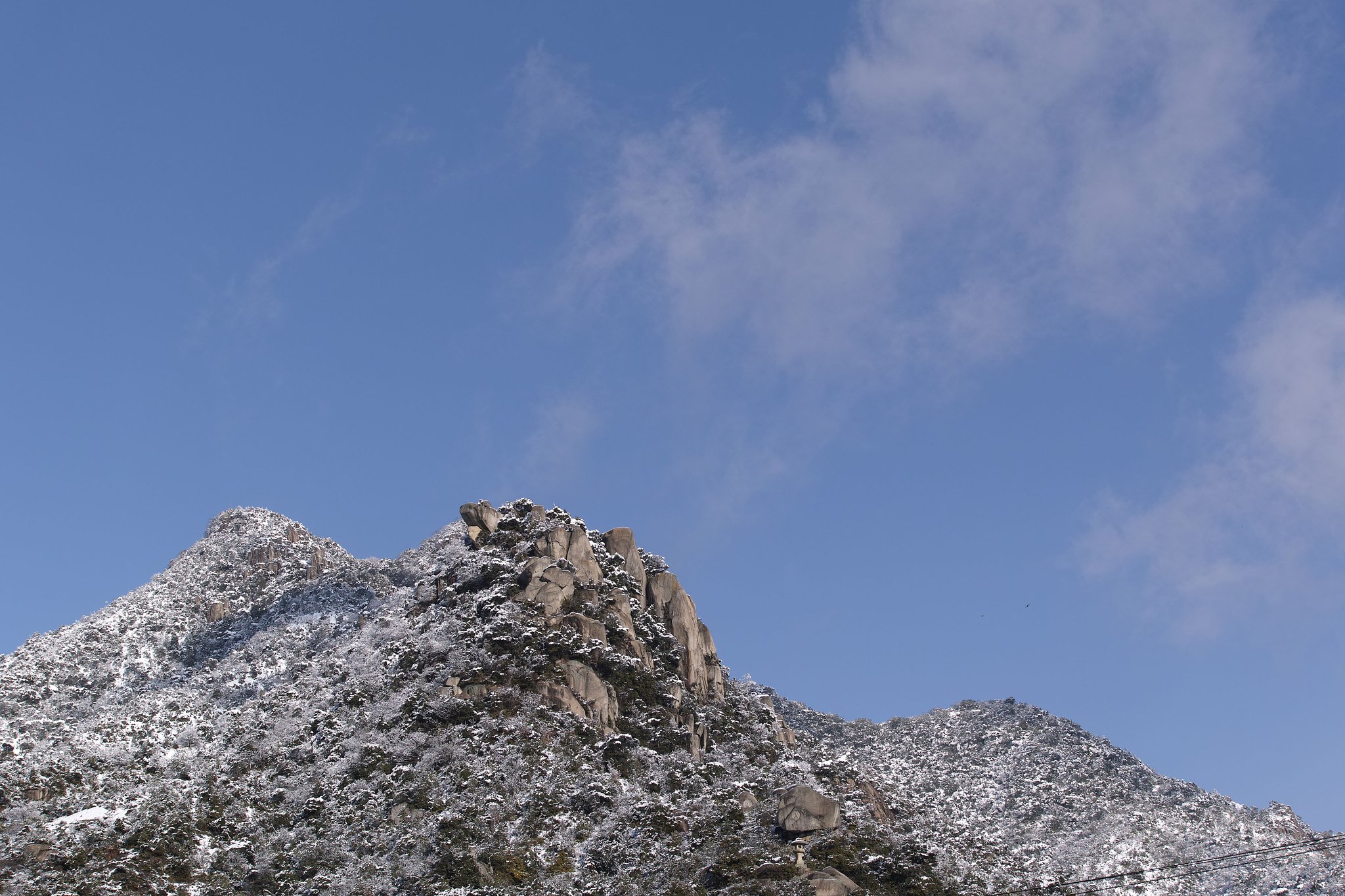 冠雪