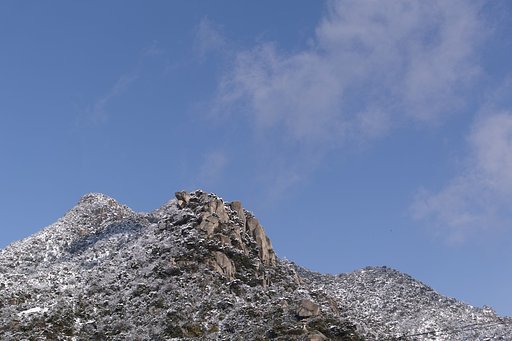 冠雪