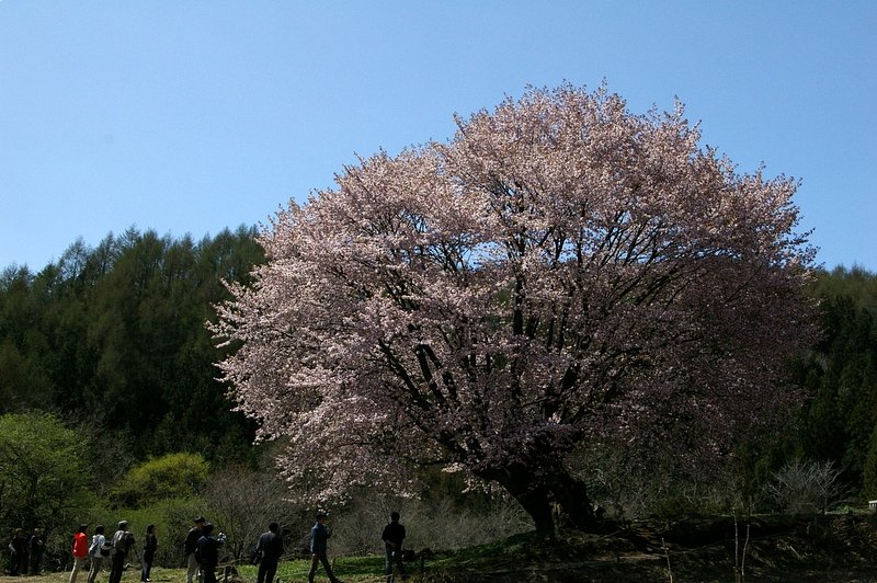 進歩ナシかも。