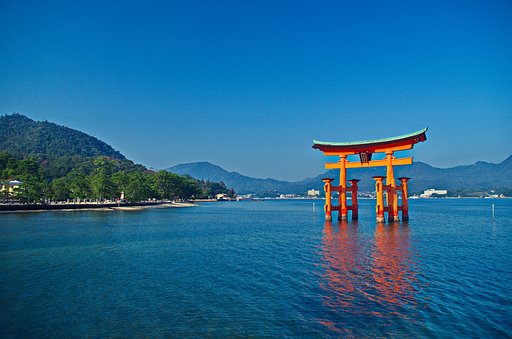 【木】赤い鳥居 