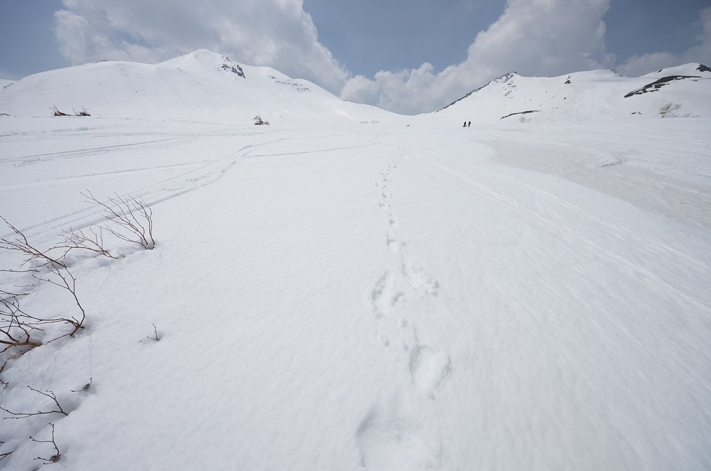 雪山散策