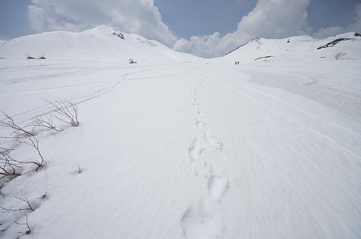 雪山散策