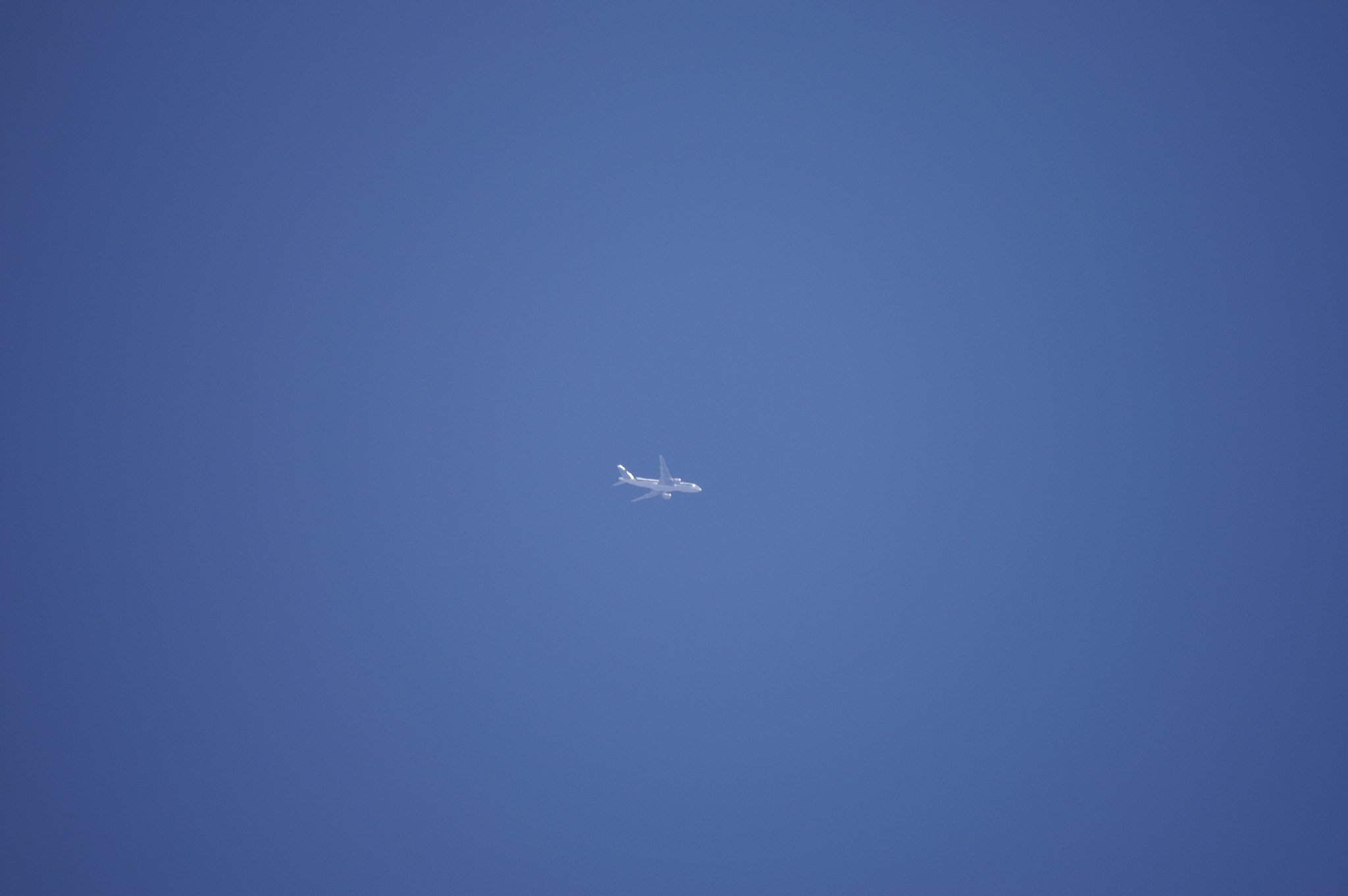 REFLEX500.F8手持ちで