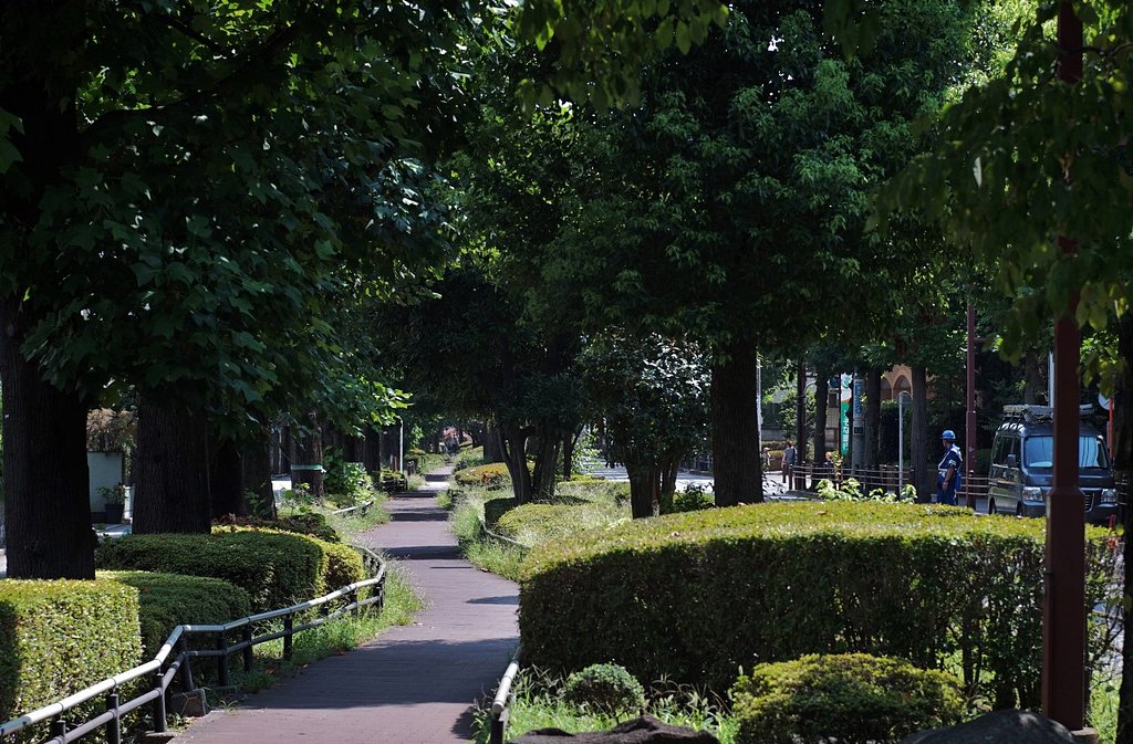 私の散歩道・・・
