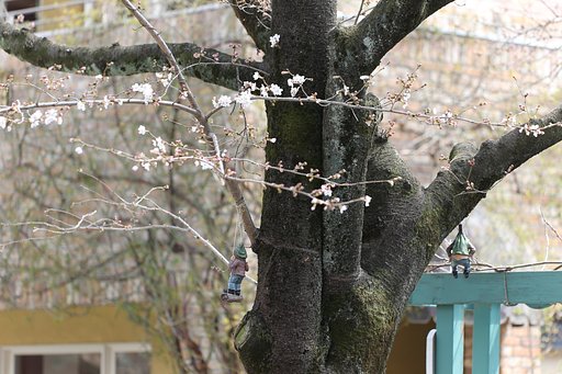 【はるの予感】小人さん
