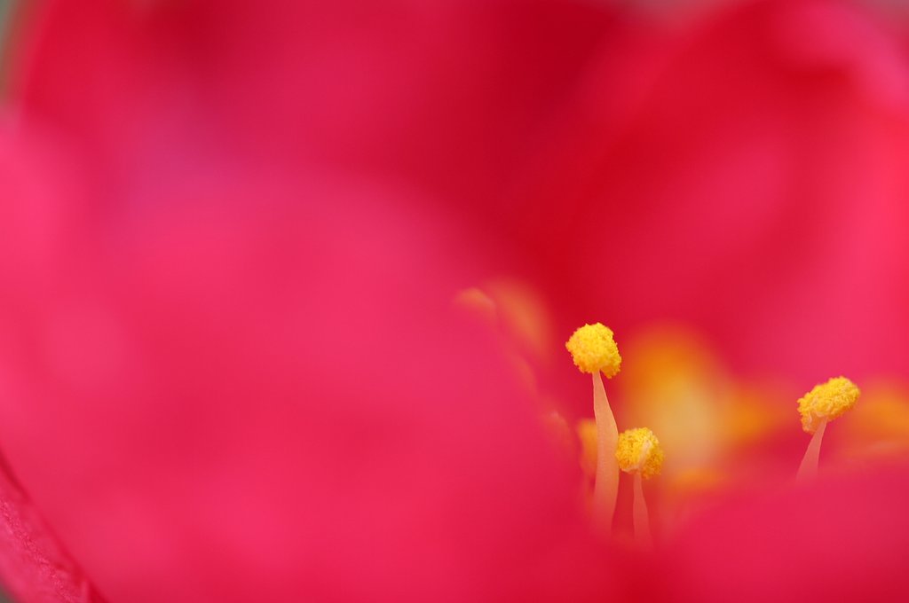 一点集中