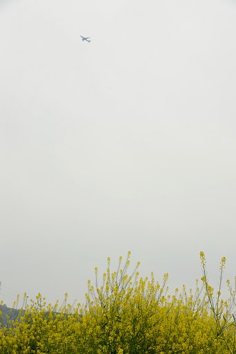 春の空間