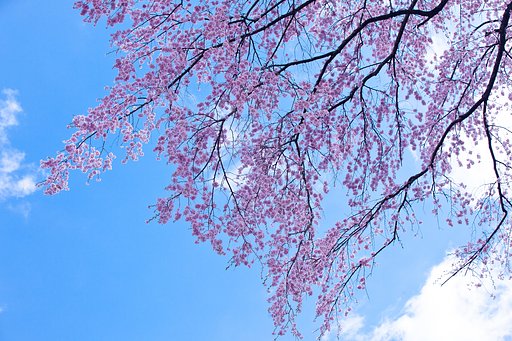 三春の空