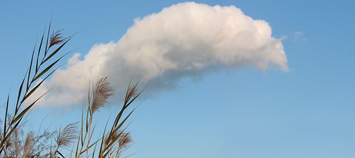芦原の雲