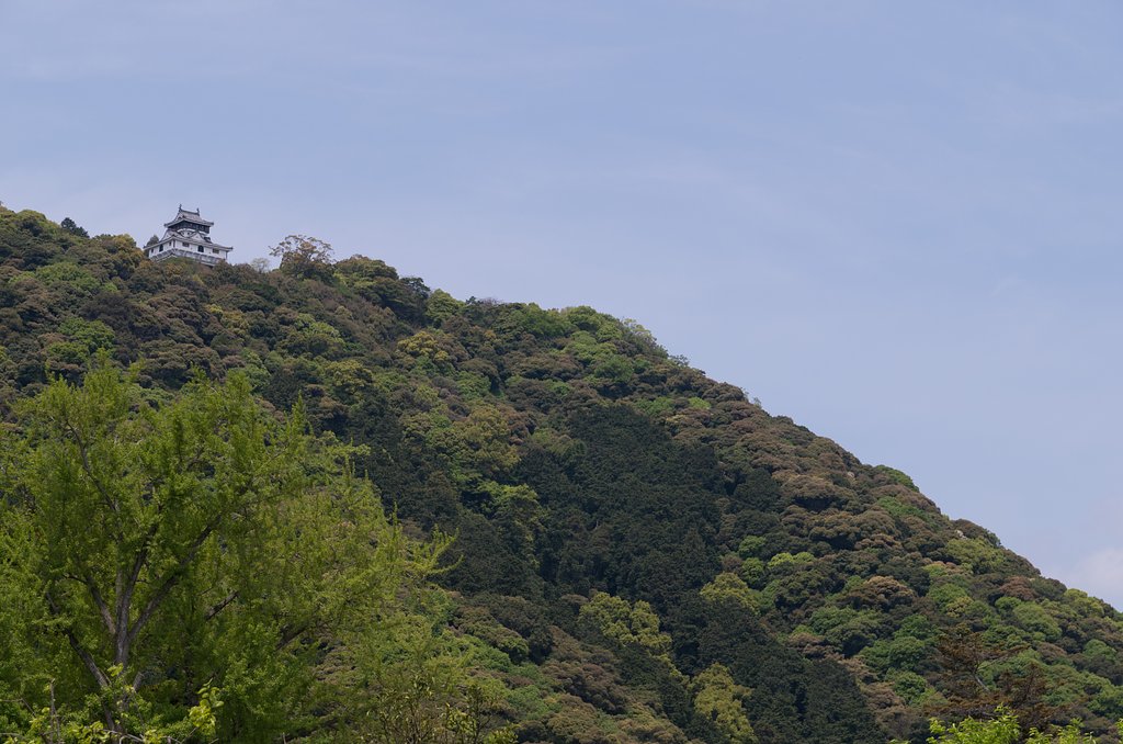 山城
